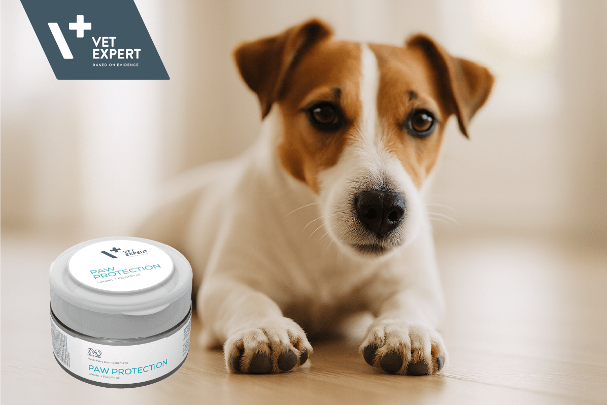 Protect Paws & Skin This Spring - Highlight Paw Protection Balm - Animus Surgical
