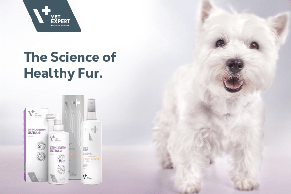 The Secret to a Healthy, Shiny Coat: Why Coat Care Matters for Your Pet - Animus Surgical