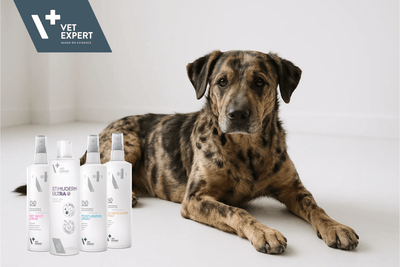 The Secret to Pet Skin Health: Why Veterinary Experts Trust Vet Expert's NanoSilver Line - Animus Surgical