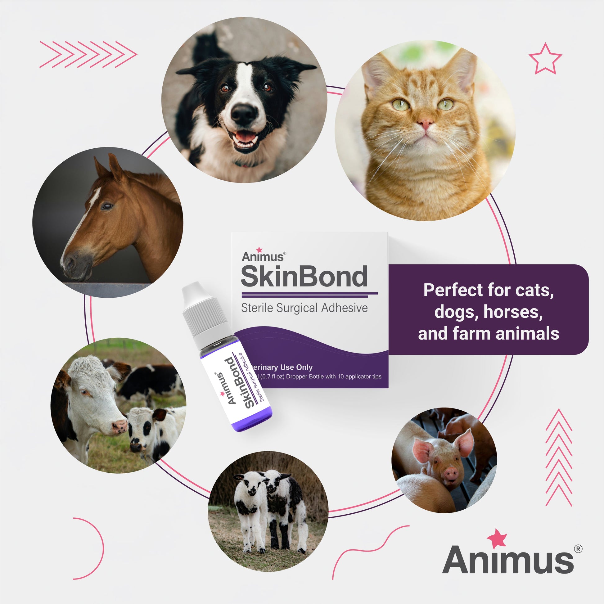 Animus SkinBond Multi (10 x 0.25ml) - Animus Surgical - Animus Surgical