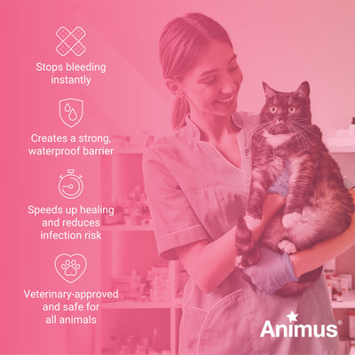 Animus SkinBond Multi (10 x 0.25ml) - Animus Surgical - Animus Surgical