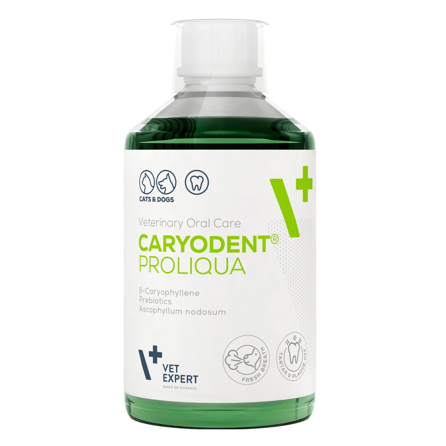 Vet Expert Caryodent Proliqua Water Additive 250ml - Animus Surgical - VET Expert