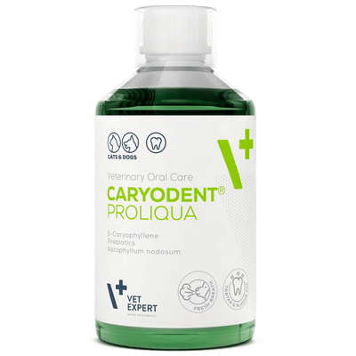 Vet Expert Caryodent Proliqua Water Additive 250ml - Animus Surgical - VET Expert