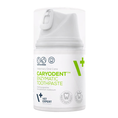 Vet Expert Caryodent Toothpaste 50ml - Animus Surgical - VET Expert